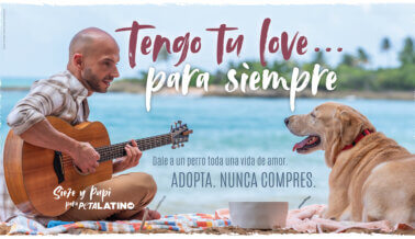 Sie7e hace un dulce llamado a la adopción