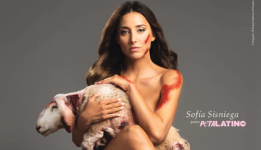 Sofía Sisniega: Prefiero estar desnuda que vestir Forever21