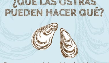 ¿Que las ostras pueden hacer qué? 10 razones excelentes para dejar vivir a los bivalvos
