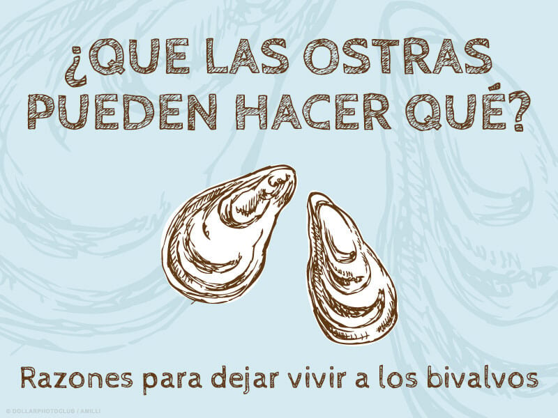 SP-peta-social-oysters-can-do-what-spanish
