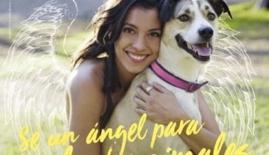 La Chica Bond, Stephanie Sigman, ¡Quiere Que Salves Vidas!