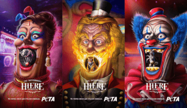 Tu Diversión Lastima: Nuevo Anuncio de Campaña Muestra el Lado Oscuro de los Circos con Animales Tu Diversión Lastima: Nuevo Anuncio de Campaña Muestra el Lado Oscuro de los Circos con Animales