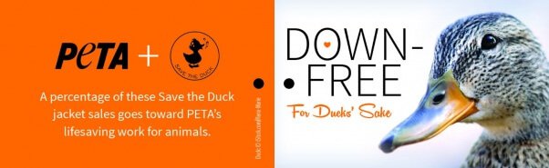 Save-the-Duck-Hang-Tags_Outside-602x185