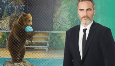 Joaquin Phoenix, un verdadero “Hermano Oso”, Alza la Voz por los Osos de Espectáculos Itinerantes