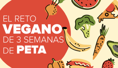 Prueba Algo Nuevo con el Reto Vegano de 3 Semanas de PETA