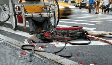 VIDEO: Tras Violento Accidente, la Sangre de un Caballo Mancha Calle de la Ciudad de Nueva York y el Carruaje que Fue Obligado a Arrastrar