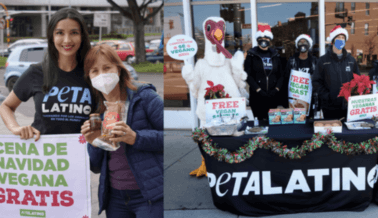 PETA Latino Lleva la Alegría Festiva a Tres Ciudades con Comidas Veganas Gratis