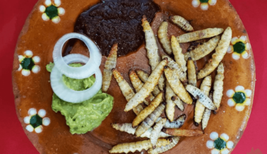 Por qué PETA Latino no aprueba los tacos de chapulín ni ningún otro snack de ‘insectos comestibles’