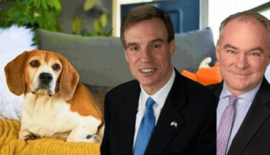 Senadores Estadounidenses le Recuerdan al USDA su Obligación de Hacer Cumplir la Ley de Bienestar Animal y Piden la Suspensión Inmediata de la Licencia de Infame Criador de Beagles