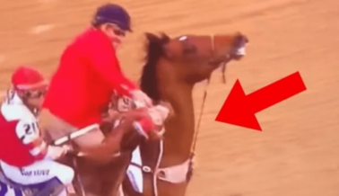 El Ganador del Derby de Kentucky 2022 “Rich Strike” Recibe un Puñetazo en la Cara; PETA Llama a la Acción