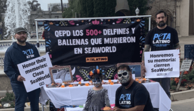 PETA Latino Realiza Vigilia del Día de los Muertos por las Víctimas de SeaWorld