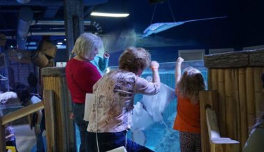 SeaQuest es famoso por explotar animales