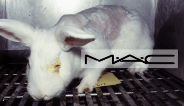 MAC Cosmetics Está Pagando Por Pruebas en Animales