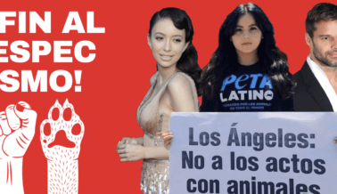 ¡Mira! 17 Citas Inspiradoras de Latinos Contra el Especismo