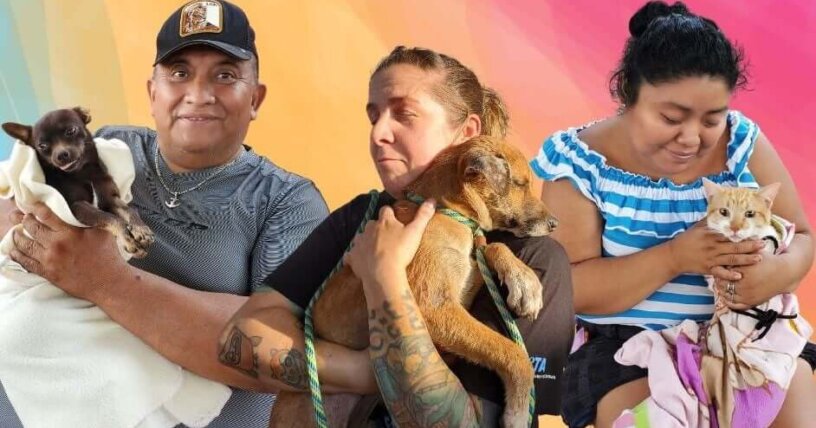 PETA esteriliza 499 perros y gatos de compañía en Chichimilá y Cancún