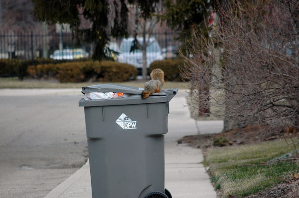 Squirrel trash can