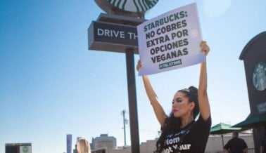 ¡‘Checa’ esto! Starbucks ya no cobrará extra por leches veganas en la República Checa y Polonia