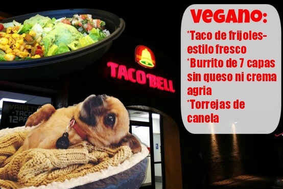 Taco bell spanish