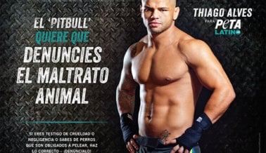 Thiago Alves Peso Wélter de la UFC Lucha Contra el Maltrato Animal