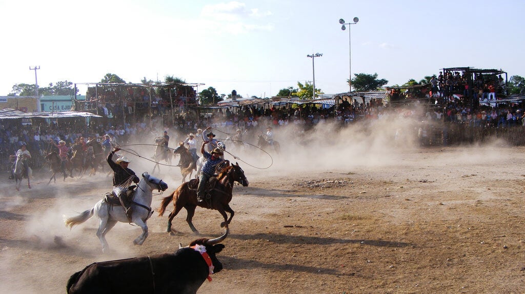 Torneo de Lazo