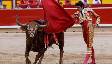 ¡Progreso! Avanza Prohibición de Corridas de Toros en Colombia