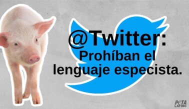 Twitter Está Sacando la Basura: ¿Botará También el Lenguaje Especista?