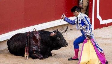 Video revela que matador tropezó con capote antes de morir corneado por toro