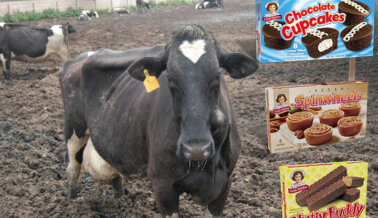 Insta a Little Debbie a Mostrar Compasión por las Vacas y las Gallinas Ofreciendo Bocadillos Veganos Insta a Little Debbie a Mostrar Compasión por las Vacas y las Gallinas Ofreciendo Bocadillos Veganos