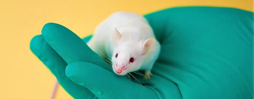 Dile a la FDA: Modernicen las pruebas de pasta dental; no más pruebas en animales