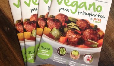 ¡Recibe GRATIS un Kit Vegano para Principiantes!