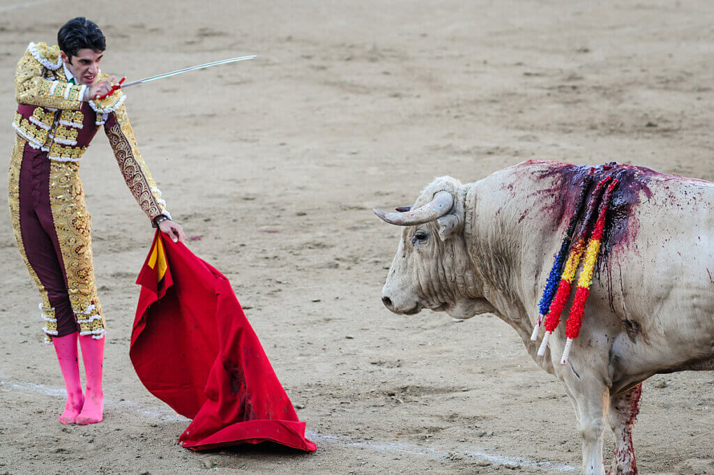 Un matador se prepara para a puñalar