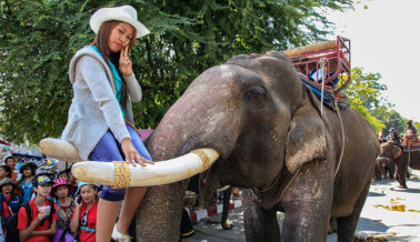 9 Razones por las que Nunca Deberías Pasear en Elefante en India o en Otros Lugares