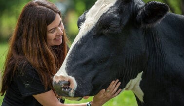 Las 10 razones principales para ser vegano en el nuevo año