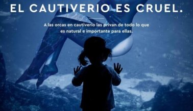 Marjorie de Sousa Está Harta de SeaWorld