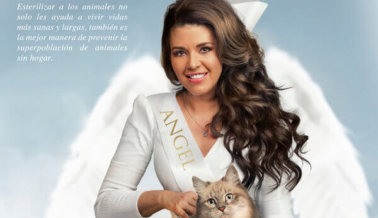 Alicia Machado: Sé un Ángel Para Los Animales, Esterilízalos
