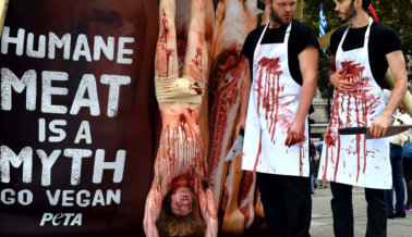 FOTOS: ‘Matadero’ al aire libre en el centro de Londres conmemora el Día Mundial del Veganismo