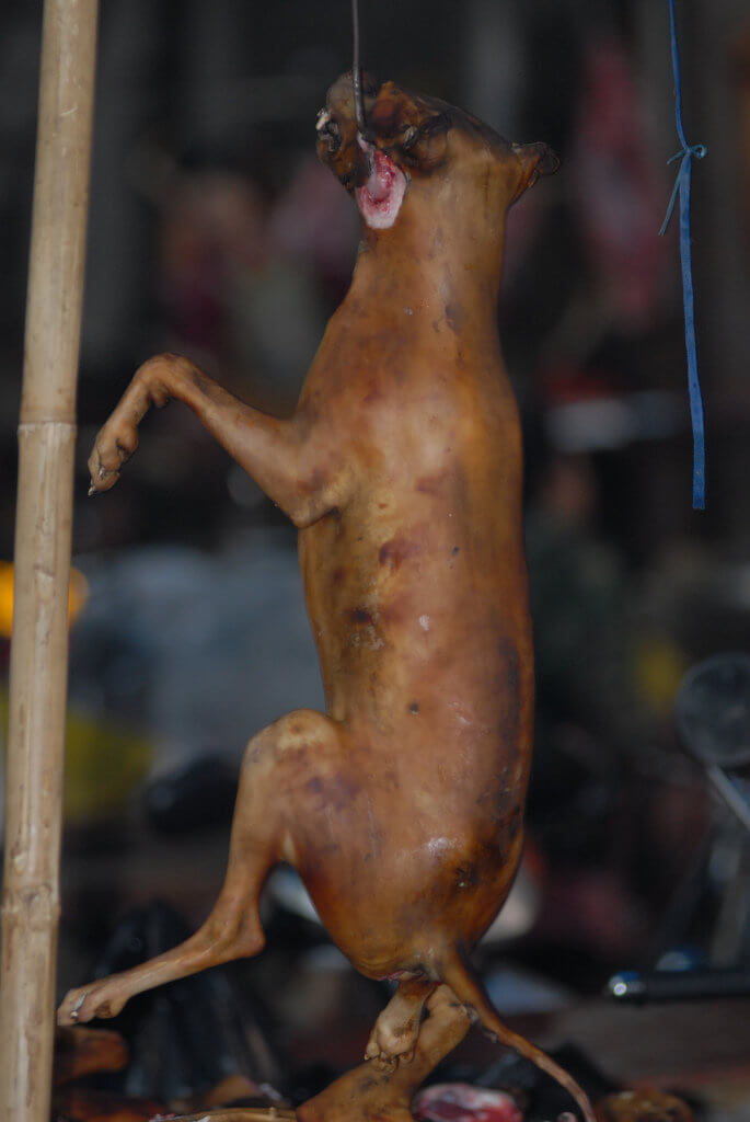 Yulin Dog-Meat Festival