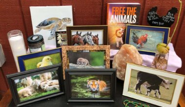 Haz un altar para honrar a los animales que han muerto por crueldad