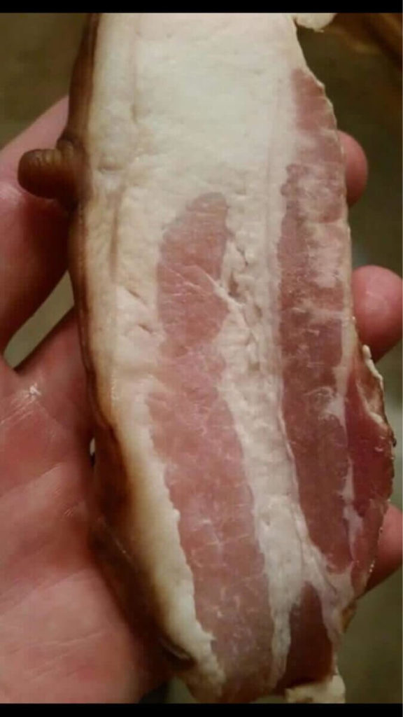 bacon-nipple