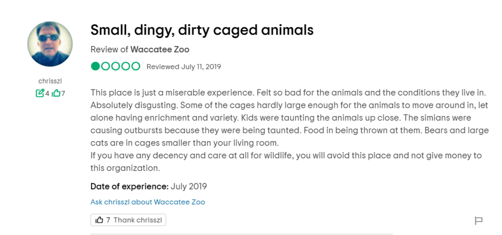 bad review of waccatee zoo