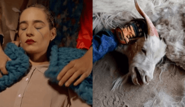 La Industria de la Moda Hace Que los Animales se Acuesten y lo Soporten: Nuevo Video de PETA