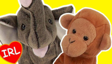 Tratamos a los peluches Beanie Babies como animales reales y fue muy aberrante