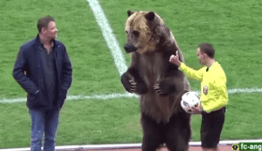 Oso obligado a entregar el balón durante partido de fútbol ruso