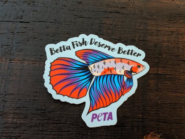 A sticker with the image of an orange, purple and blue betta fish lays on a wooden table, with the words "betta fish deserve better" above the image, and the PETA logo below.