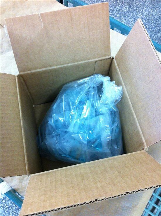 bettafish in plastic bag and box