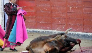 11 Razones para sacar el Encierro de los toros de tu lista de cosas por hacer antes de morir