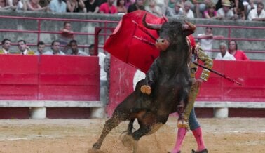 Las Corridas de Toros Nunca Tienen Final Feliz