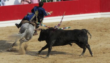 ¿Se Terminarán las Corridas de Toros en Colombia? ¡Asegurémonos de que Así Sea!