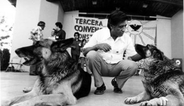 Derechos humanos, derechos de los animales y la no-violencia: El legado duradero de César Chávez