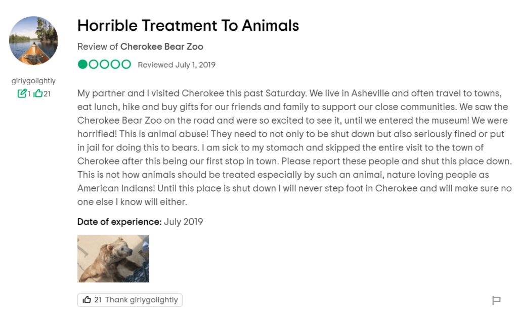 Cherokee Bear Park negative review